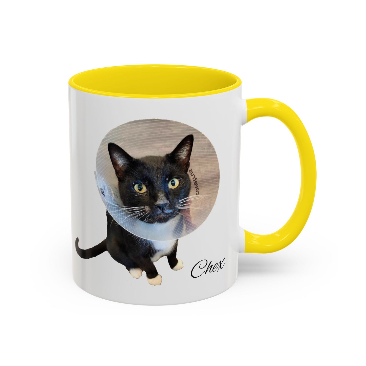 $SKITTEN -- Accent Coffee Mug (11, 15oz) -- Chex